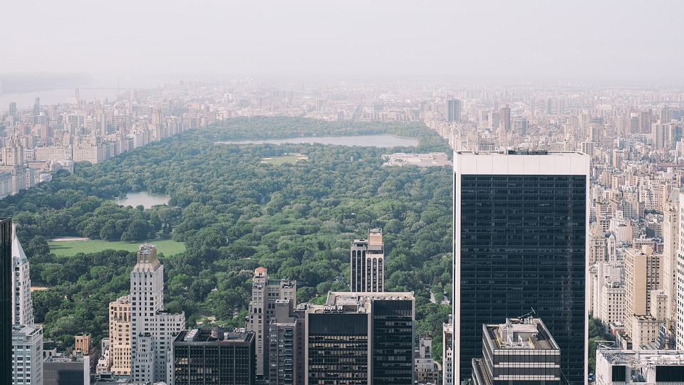 a shot of central park in new york, a big green square is framed by the city surrounding it