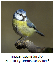 A picture of a bluetit - or maybe a Tyrannosaurus Rex.  Who knows?