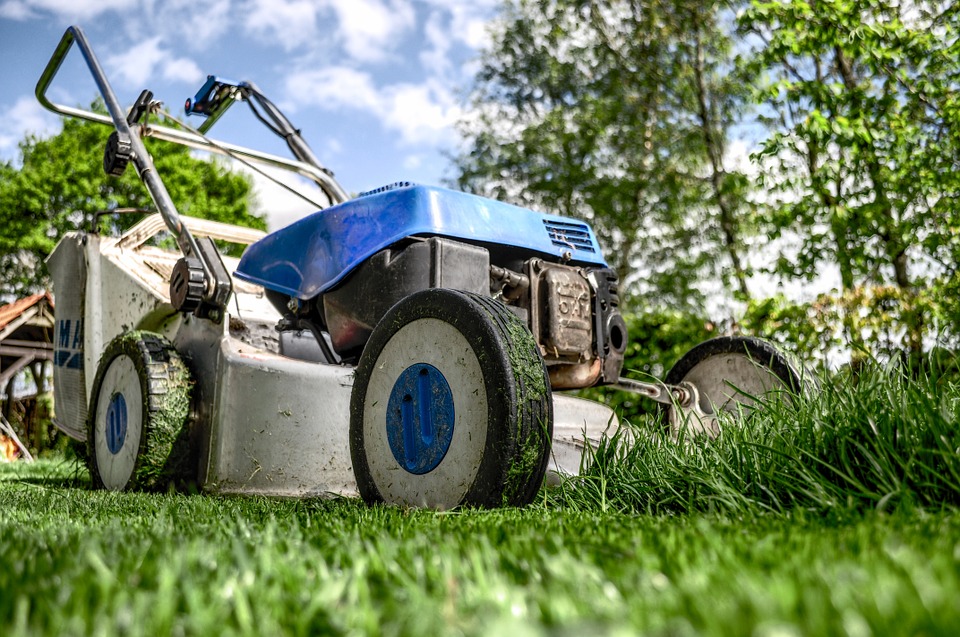 lawnmower on lawn with trees and blue sky in the background