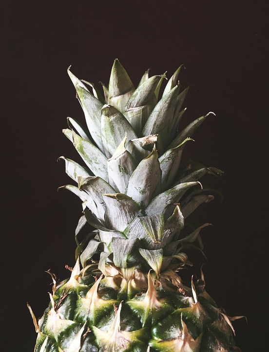 A pineapple is illuminated against a black background