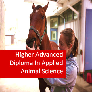 Higher Advanced Diploma In Applied Animal Science VSC003 ...