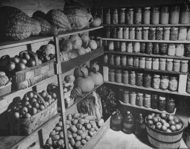 traditional root cellar in black and white