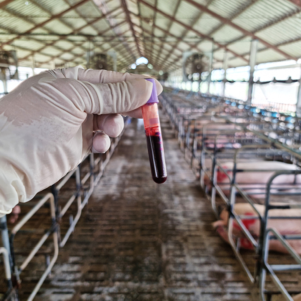 Animal Blood Sample- Animal Husbandry 1 1 Hours Certificate Cours