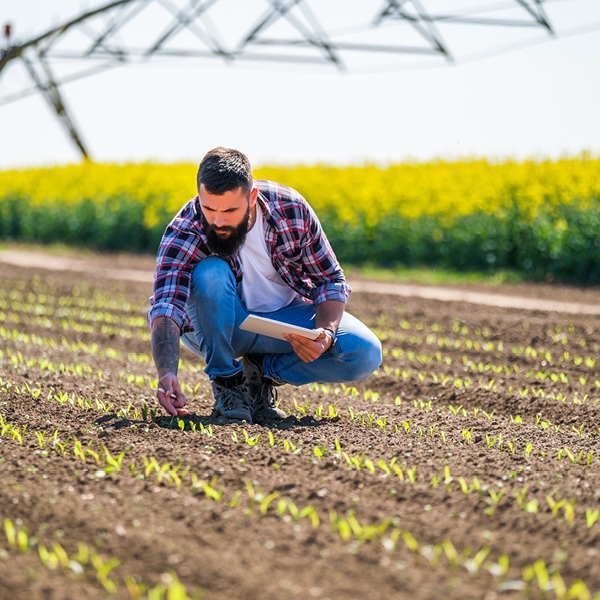 Man kneeling planting crops- Agronomy Online course learn the Basics