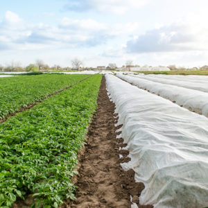 Agronomy Online Study Course farm image