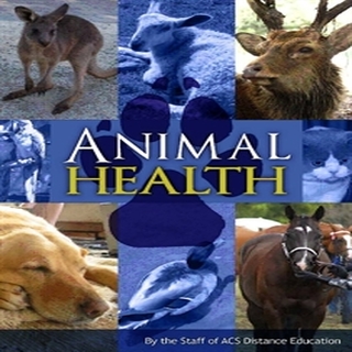 link to eBook on animal health