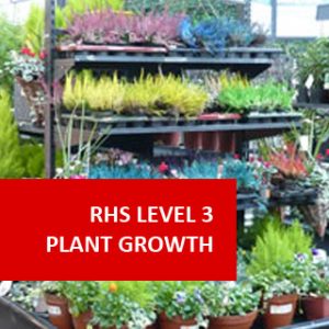 Certificate in the Principles of  Plant Growth, Health, Applied Propagation (Formally RHS L3 Certificate in the Principles of Plant Growth, Health, Applied Propagation)