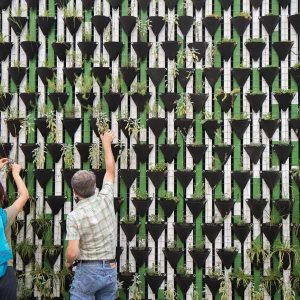 Green Walls and Roofs 100 Hours Certificate Course - ADL - Academy for Distance Learning