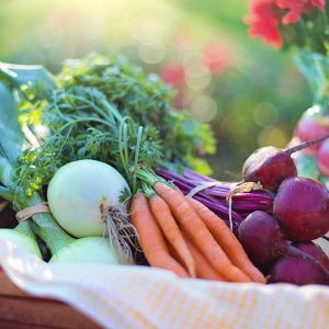 Home Vegetable Growing 100 Hours Course - ADL - Academy for Distance Learning