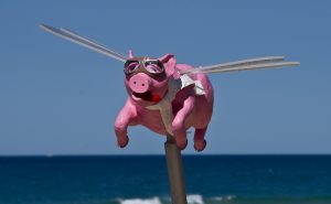 A flying pig, not somthing you see everyday :)