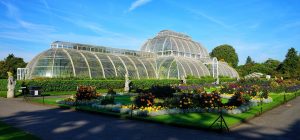 A glass dome filled with horticultural specimens surrounded by banks of flowers, a lovely place to spend a day wandering around