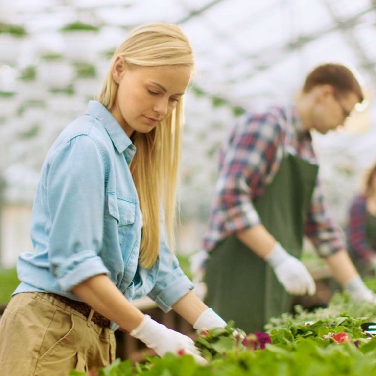 horticulture-online-courses