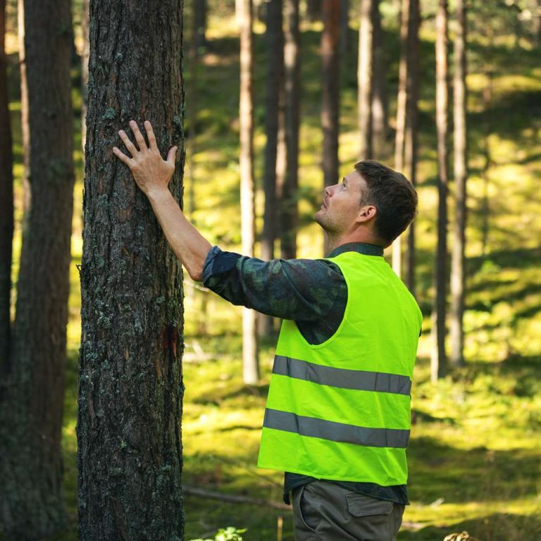 forestry-courses-learn-online (3)