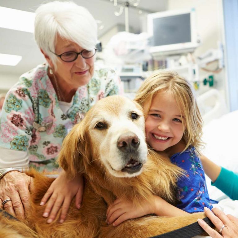 pet-therapy-course-learn-online (3)