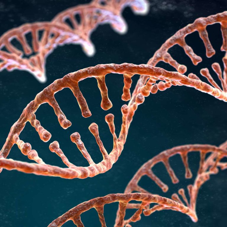 genetic-applications-course (11)