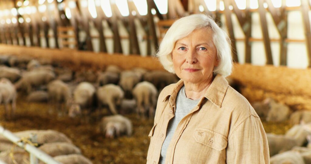 woman in front of sheep in a barn - study livestock courses online